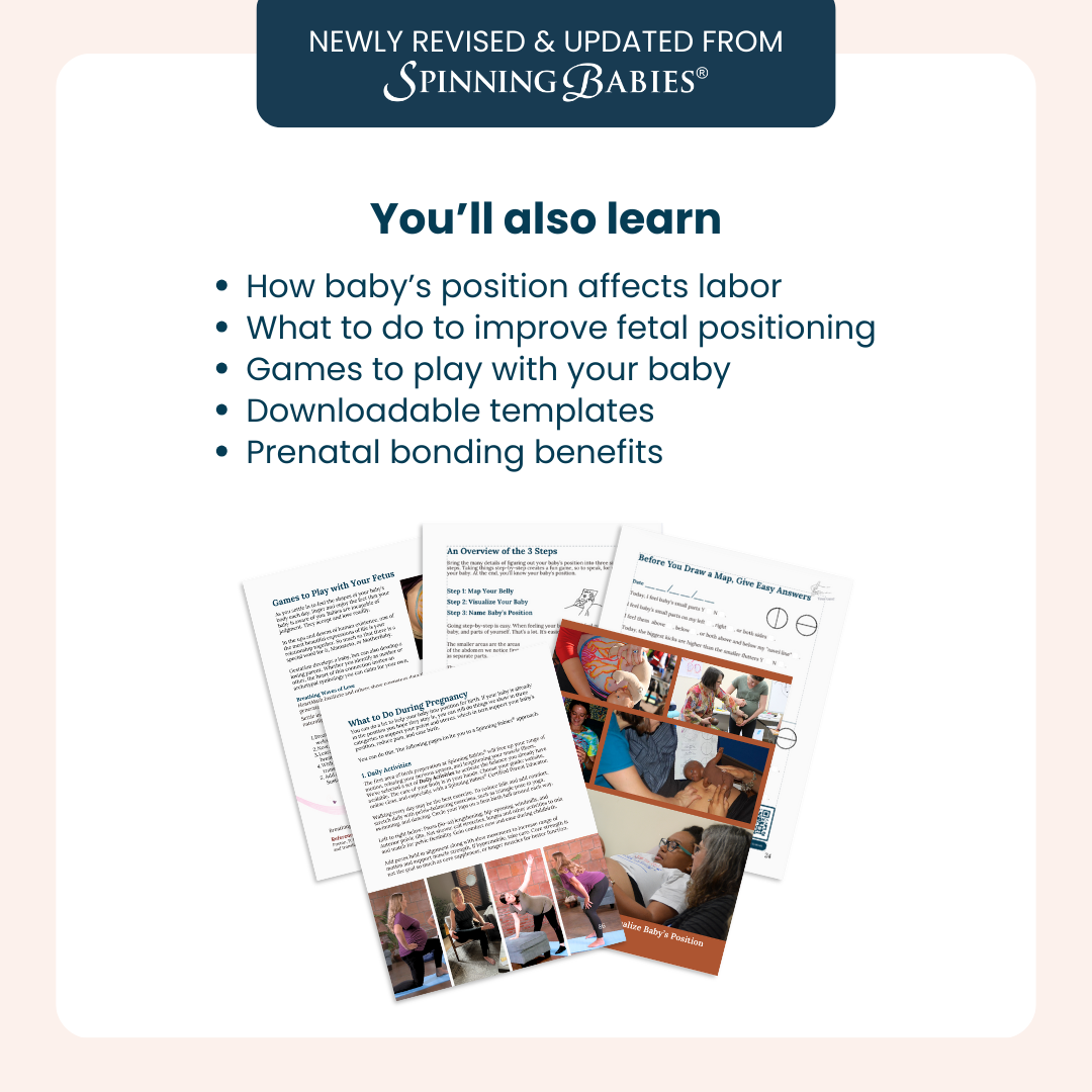 The Belly Mapping® Method eBook