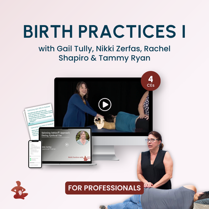 Birth Practices I with Spinning Babies®