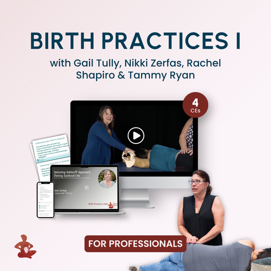 Birth Practices I with Spinning Babies®