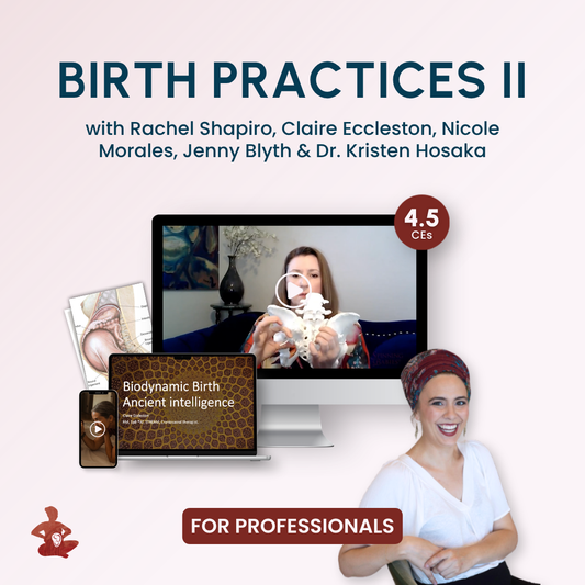 Birth Practices II with Spinning Babies®
