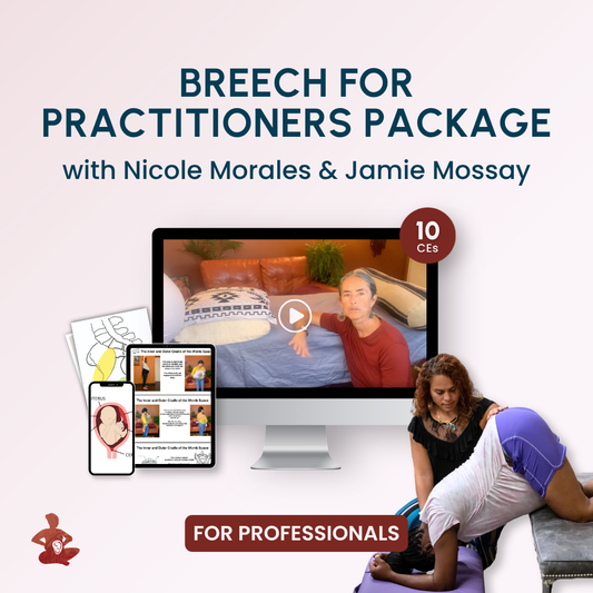 Breech for Practitioners Package