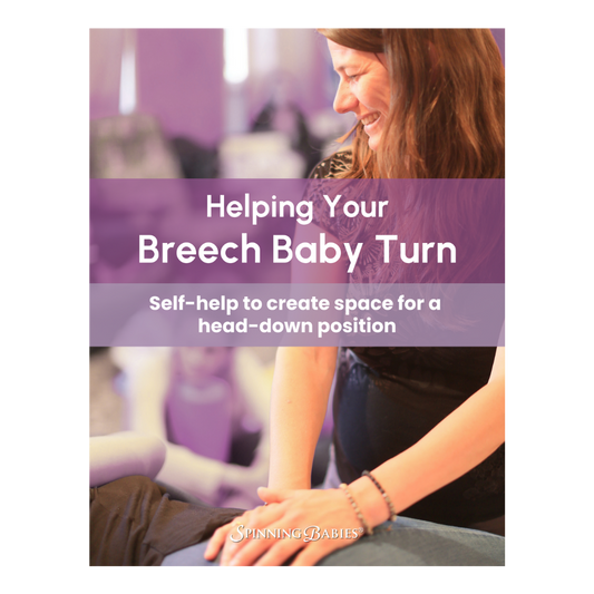 Helping Your Breech Baby Turn - eBook