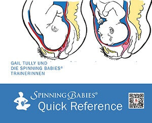 Quick Guide German translation COVER_smaller