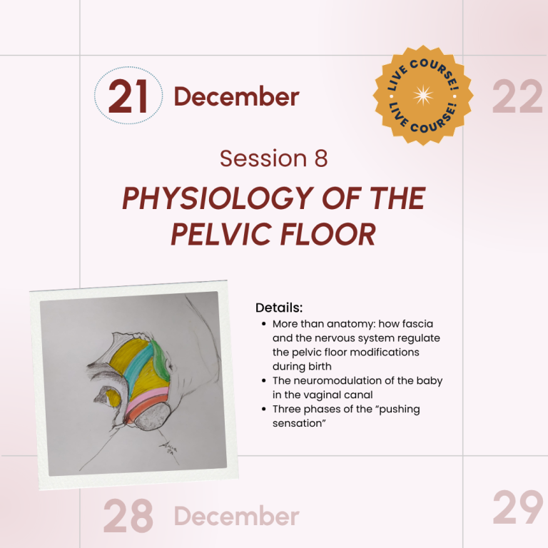 Salutophysiology in Pregnancy and Birth: From Risk-Focused to Health-Oriented Care