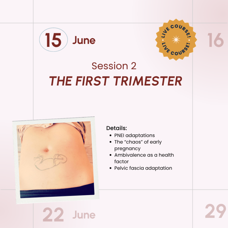 Salutophysiology in Pregnancy and Birth: From Risk-Focused to Health-Oriented Care