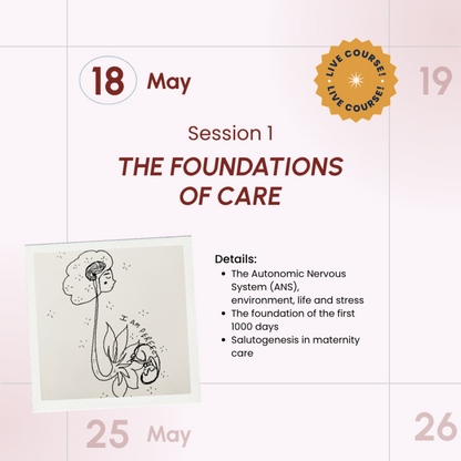 Salutophysiology in Pregnancy and Birth: From Risk-Focused to Health-Oriented Care