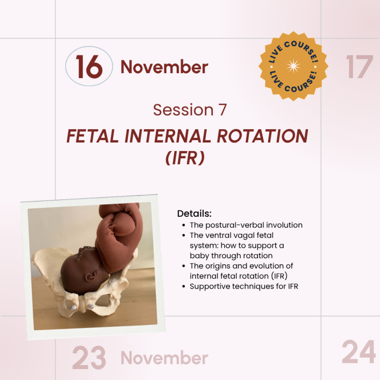 Salutophysiology in Pregnancy and Birth: From Risk-Focused to Health-Oriented Care