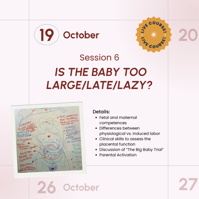 Salutophysiology in Pregnancy and Birth: From Risk-Focused to Health-Oriented Care
