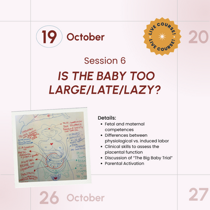 Salutophysiology in Pregnancy and Birth: From Risk-Focused to Health-Oriented Care