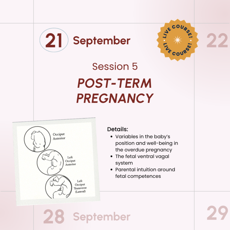 Salutophysiology in Pregnancy and Birth: From Risk-Focused to Health-Oriented Care