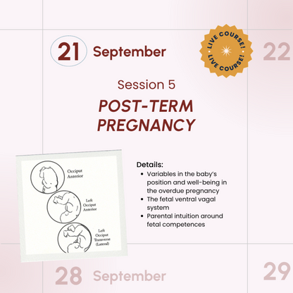 Salutophysiology in Pregnancy and Birth: From Risk-Focused to Health-Oriented Care