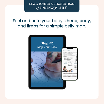 The Belly Mapping® Method eBook