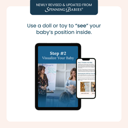 The Belly Mapping® Method eBook