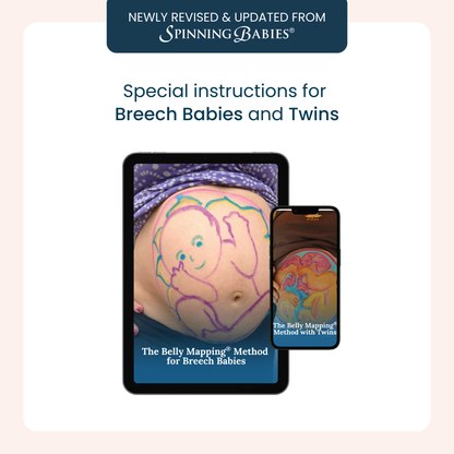 The Belly Mapping® Method eBook