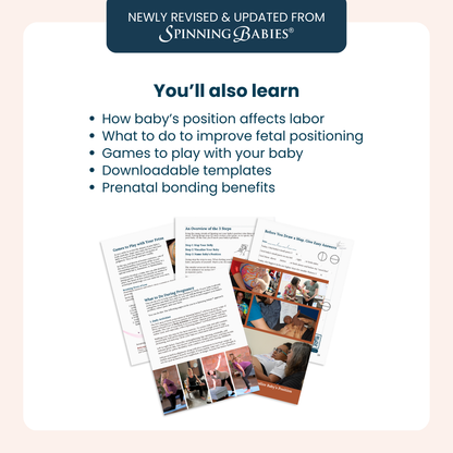 The Belly Mapping® Method eBook
