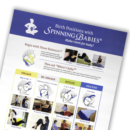 Spinning Babies® Birth Care Essentials Bundle