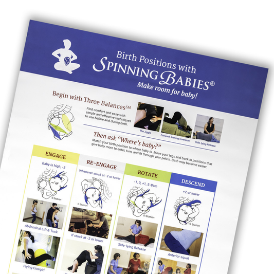 Birth Positions with Spinning Babies® Poster