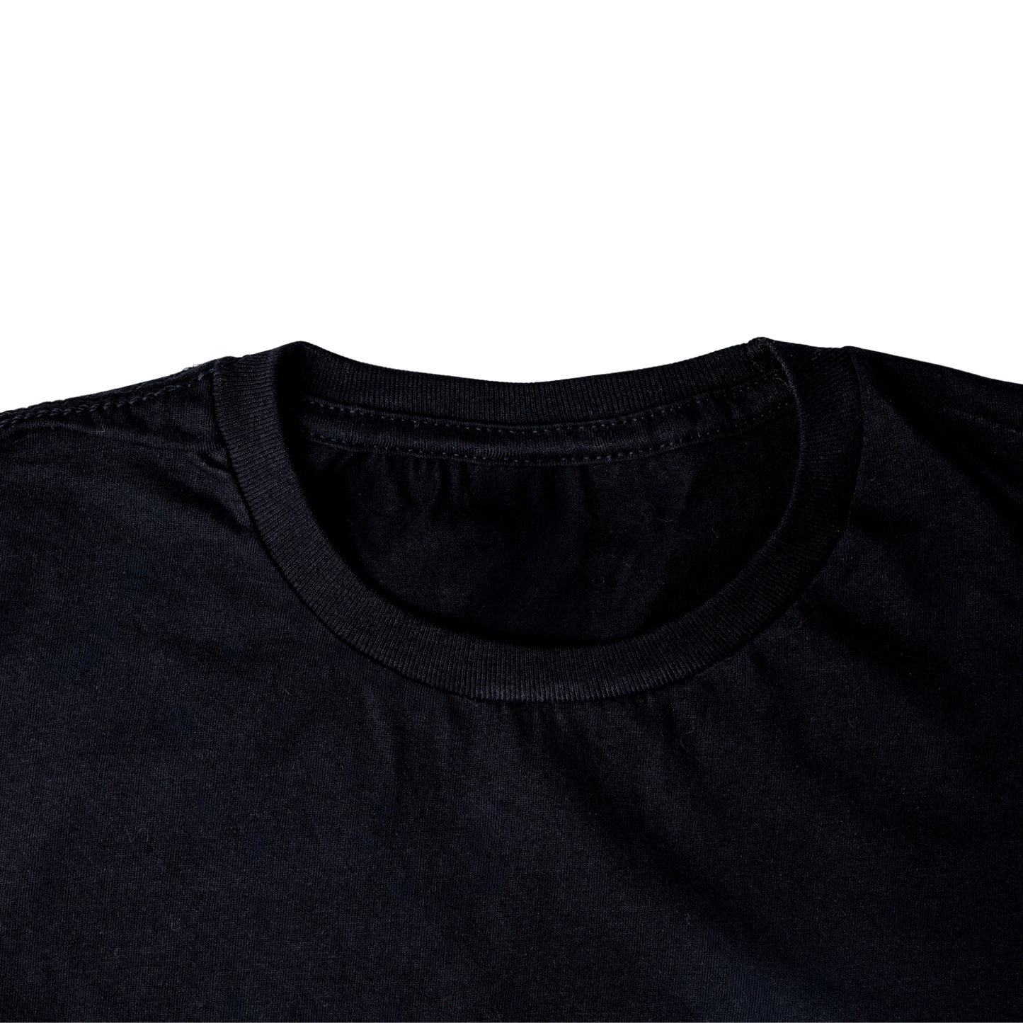 Changing Birth on Earth T-shirt (U.S. orders)