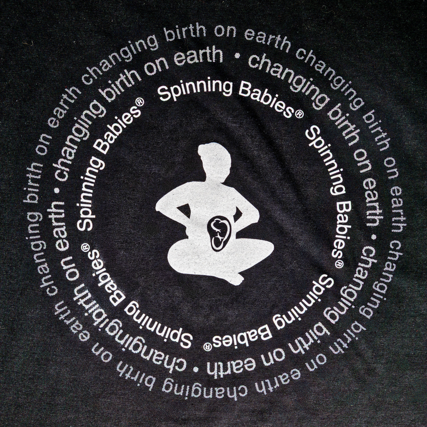 Changing Birth on Earth T-shirt (U.S. orders)
