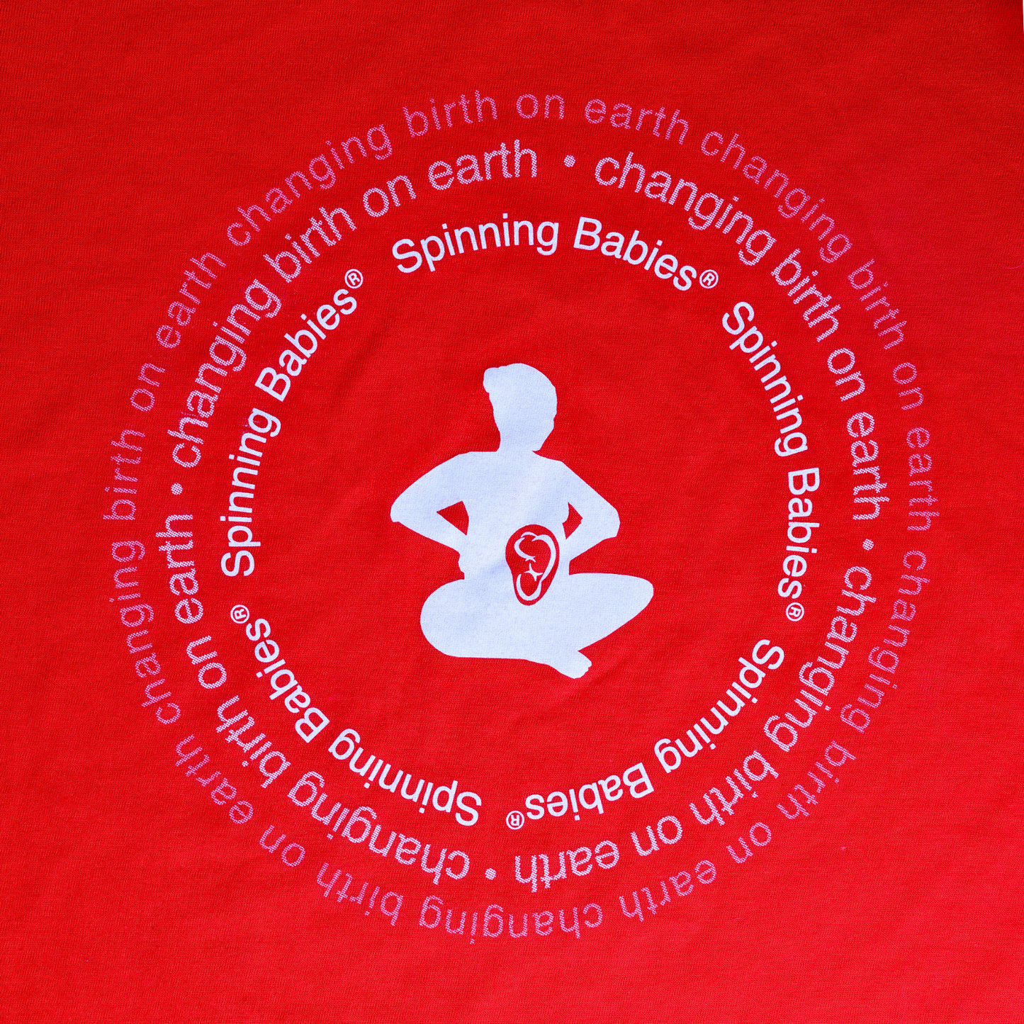 Changing Birth on Earth T-shirt (U.S. orders)