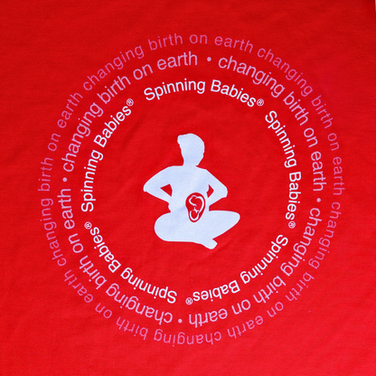 Changing Birth on Earth T-shirt (U.S. orders)