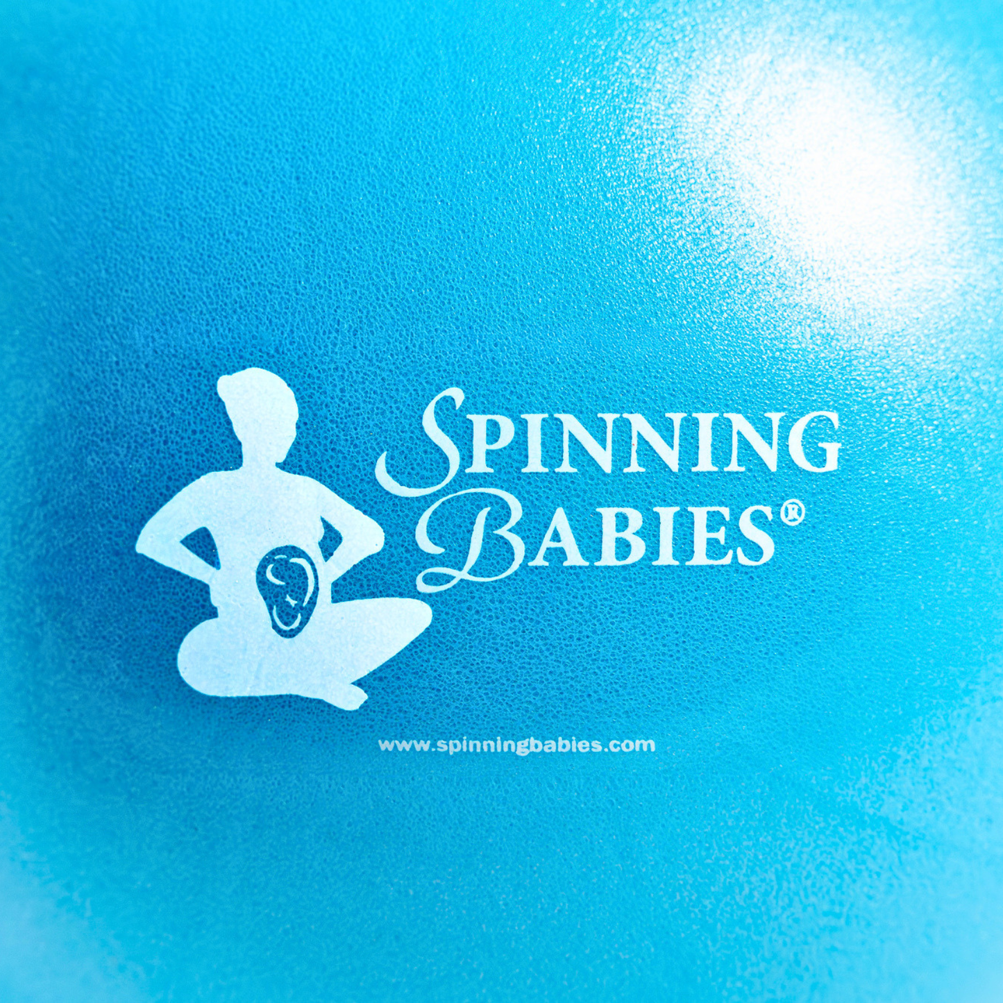Spinning Babies® Small Physio Ball