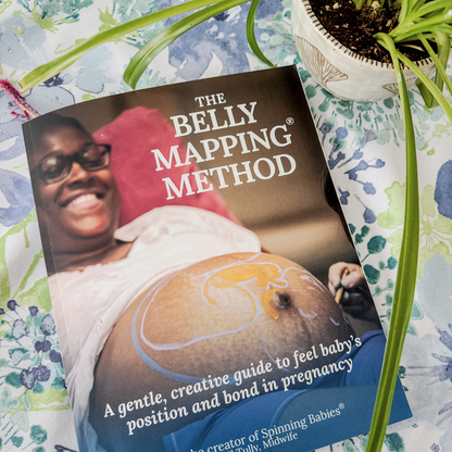 The Belly Mapping® Method Book