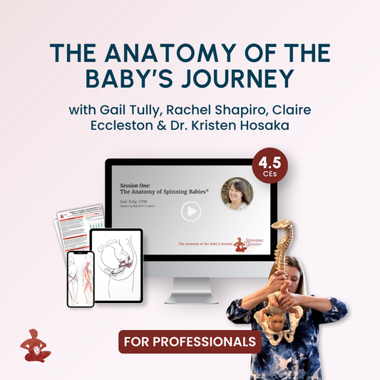 The Anatomy of the Baby's Journey